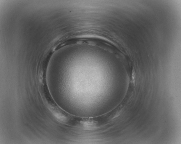 X0000083040693200702021152