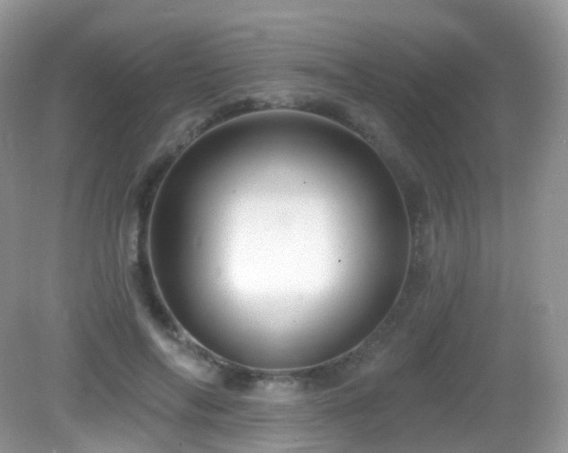 X0000083040694200702021152