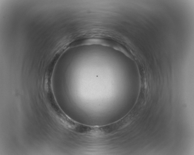 X0000083040696200702021152