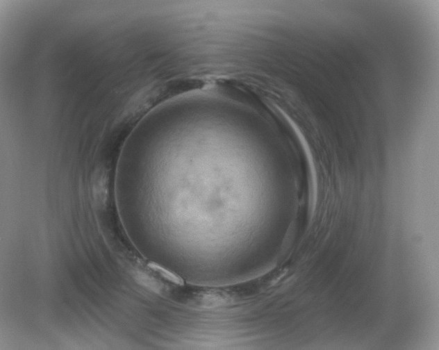 X0000083040697200702021152