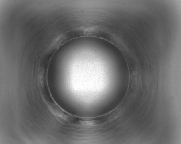 X0000083040698200702021152