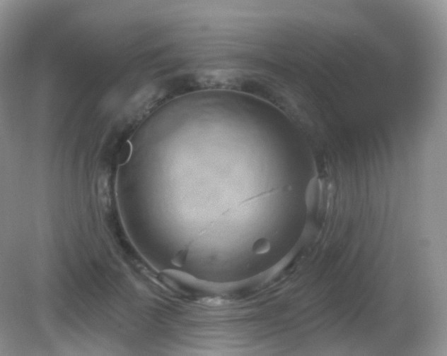 X0000083040699200702021152