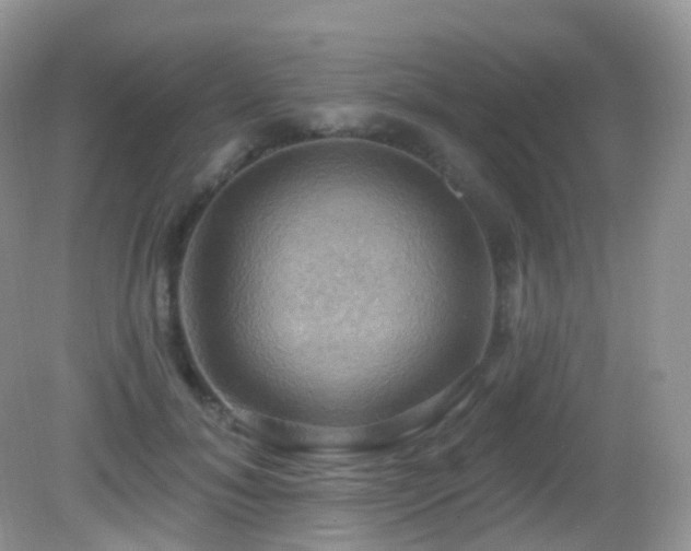 X0000083040700200702021152