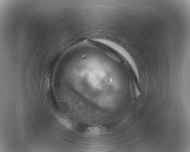 X0000083040703200702021152