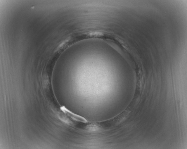 X0000083040704200702021152