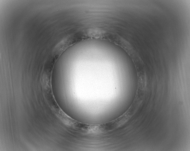 X0000083040705200702021152