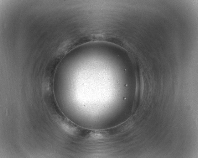 X0000083040706200702021152