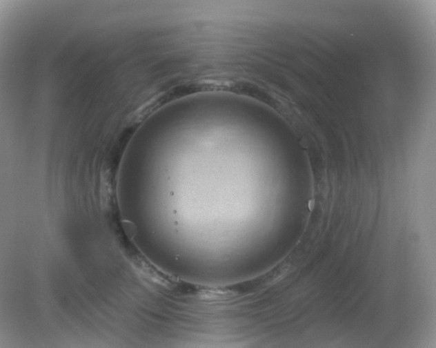 X0000083040707200702021152