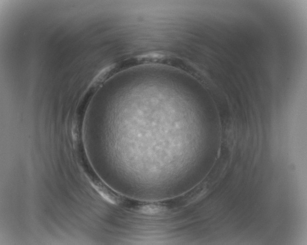 X0000083040708200702021152