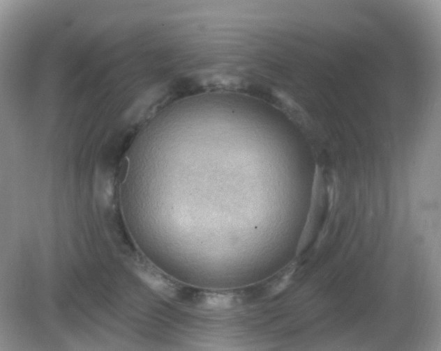 X0000083040709200702021152