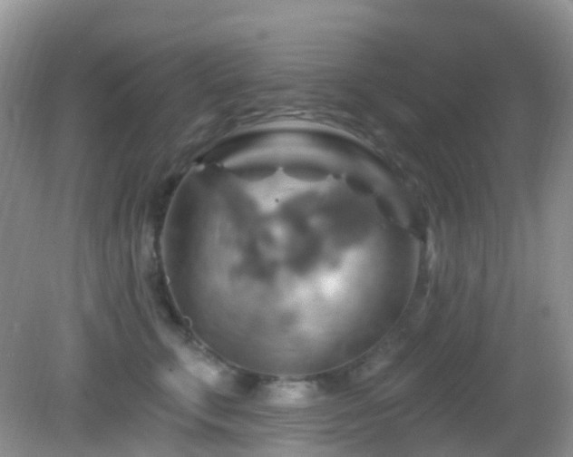 X0000083040711200702021152