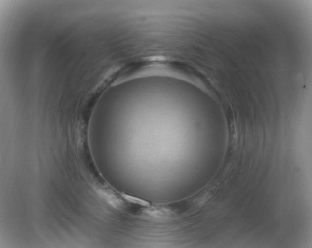 X0000083040712200702021152