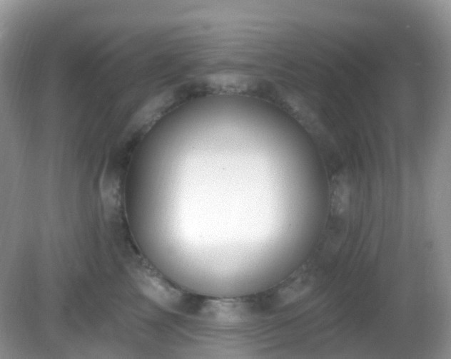 X0000083040713200702021152