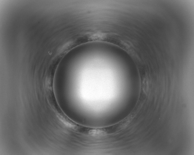 X0000083040714200702021152