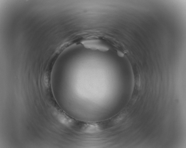 X0000083040715200702021152