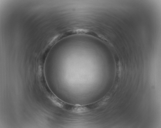 X0000083040716200702021152