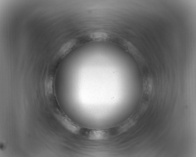 X0000083040717200702021152