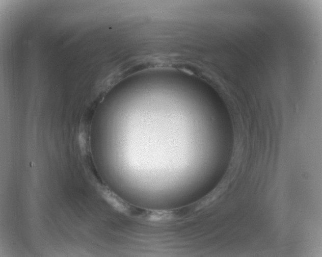 X0000083040720200702021152