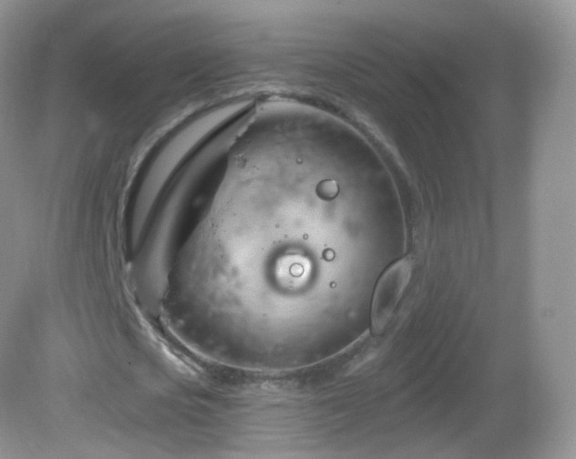 X0000083040721200702021151