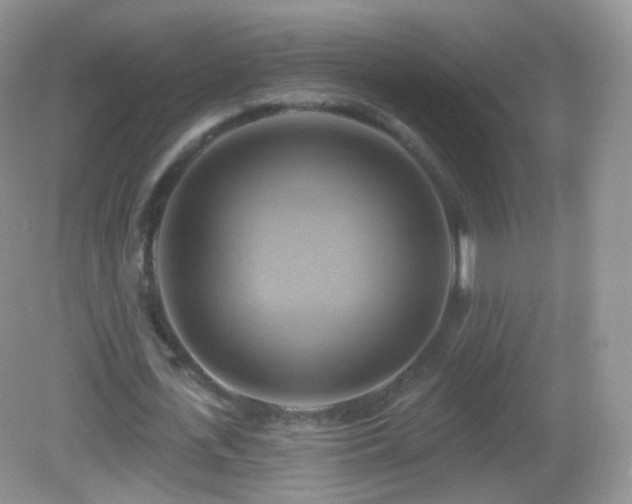 X0000083040723200702021151