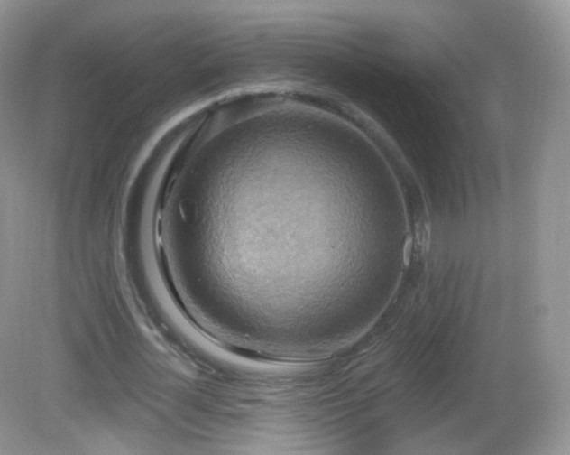 X0000083040724200702021151