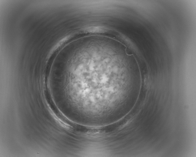 X0000083040725200702021151