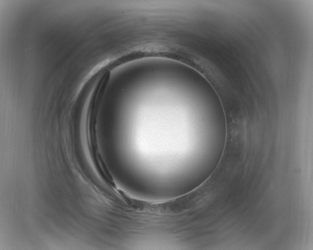 X0000083040727200702021151