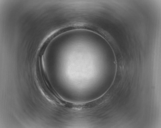 X0000083040728200702021151