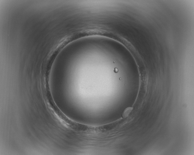 X0000083040729200702021151