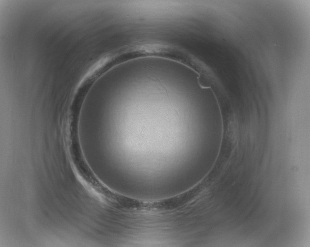 X0000083040730200702021151