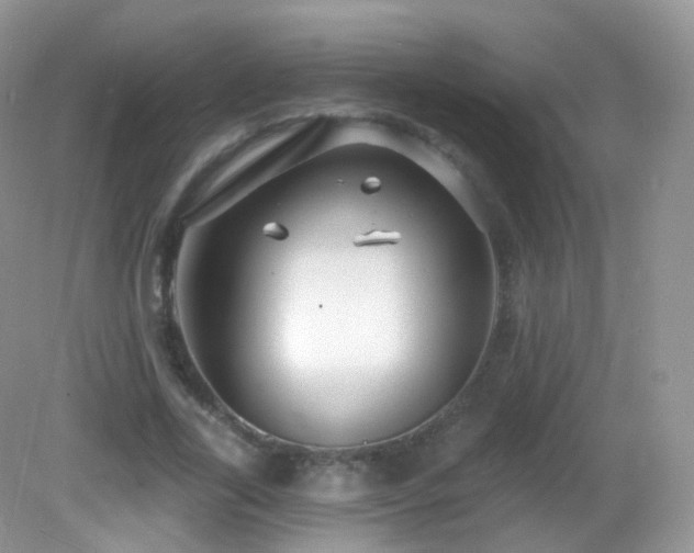 X0000083040731200702021151