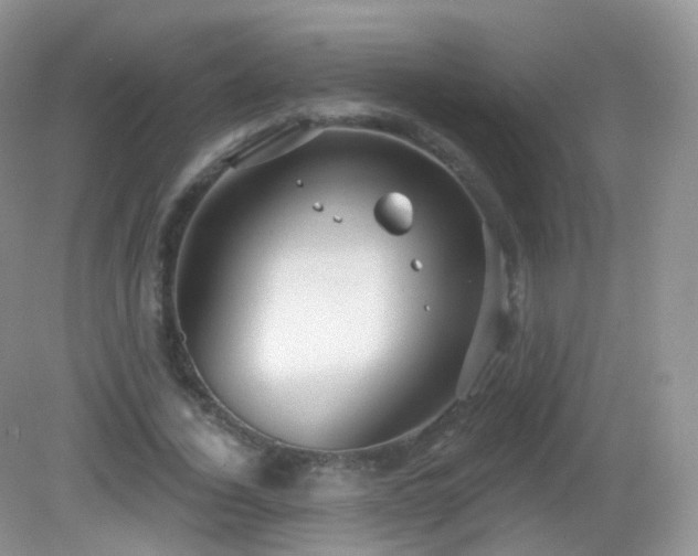 X0000083040732200702021151