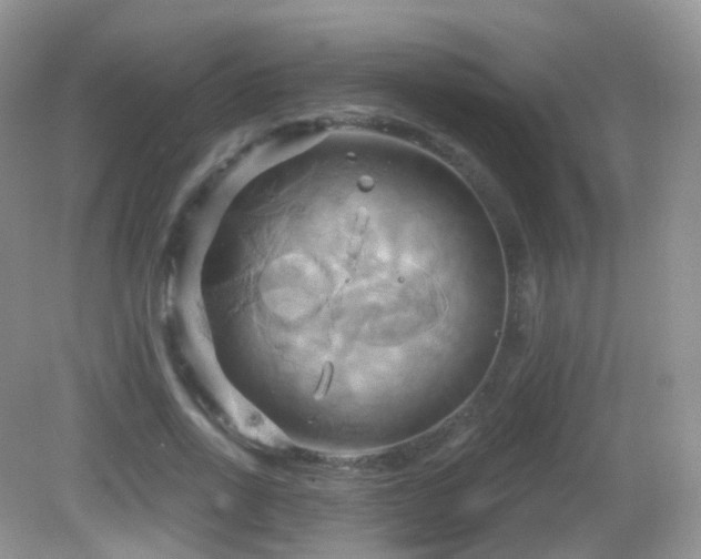 X0000083040734200702021151