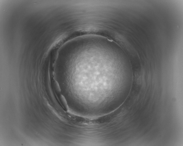 X0000083040735200702021151