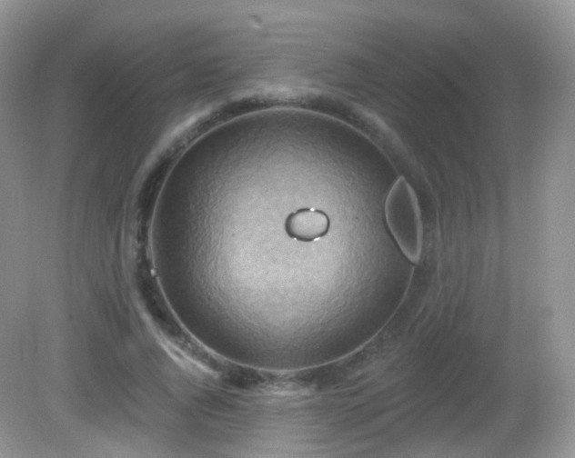 X0000083040736200702021151