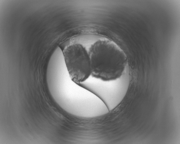 X0000083040737200702021151