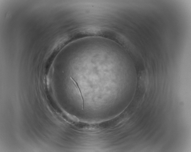 X0000083040739200702021151