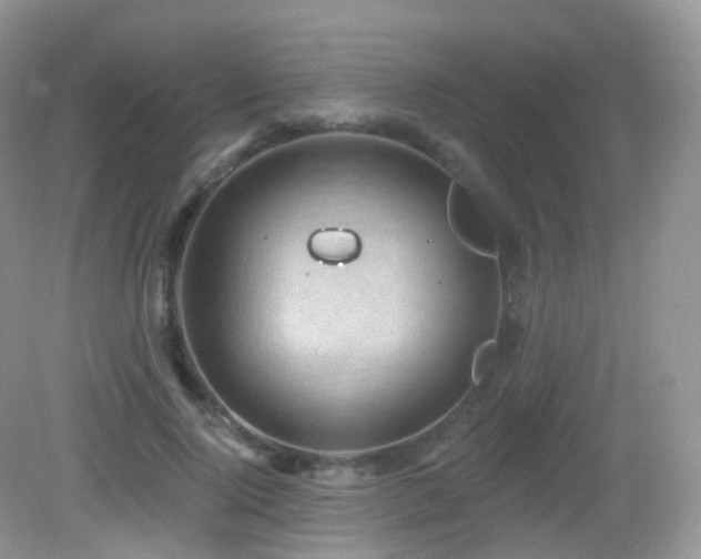 X0000083040740200702021151