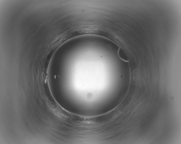 X0000083040741200702021151