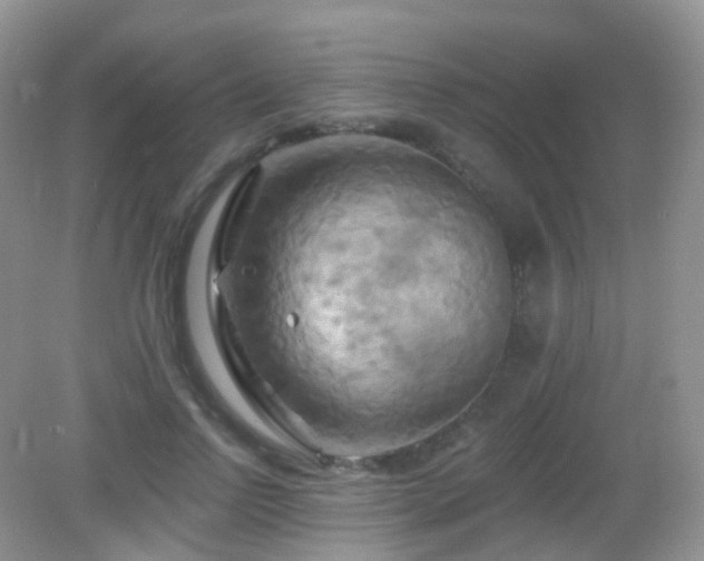 X0000083040742200702021151