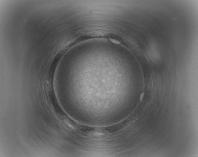 X0000083040743200702021151