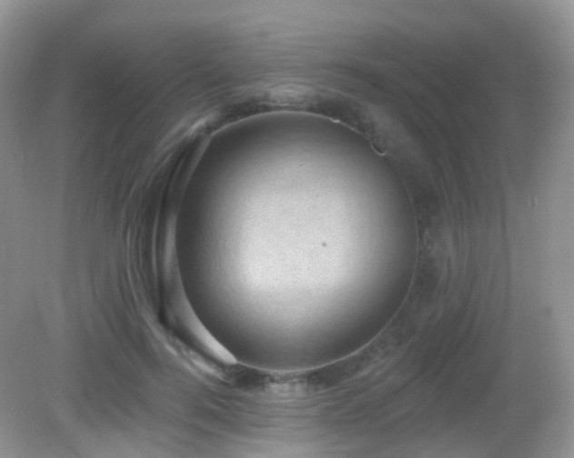 X0000083040744200702021151