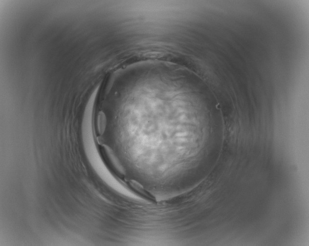 X0000083040745200702021151