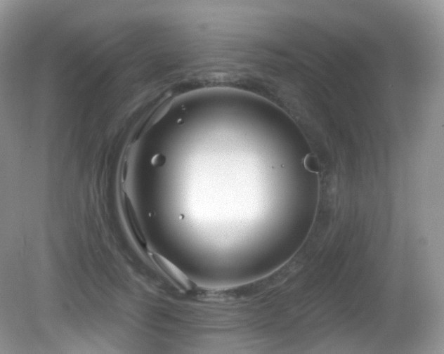 X0000083040746200702021151