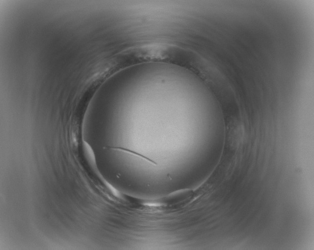 X0000083040747200702021151