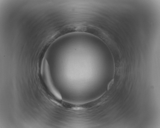 X0000083040748200702021151