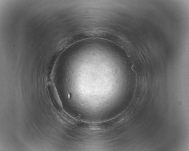 X0000083040749200702021151