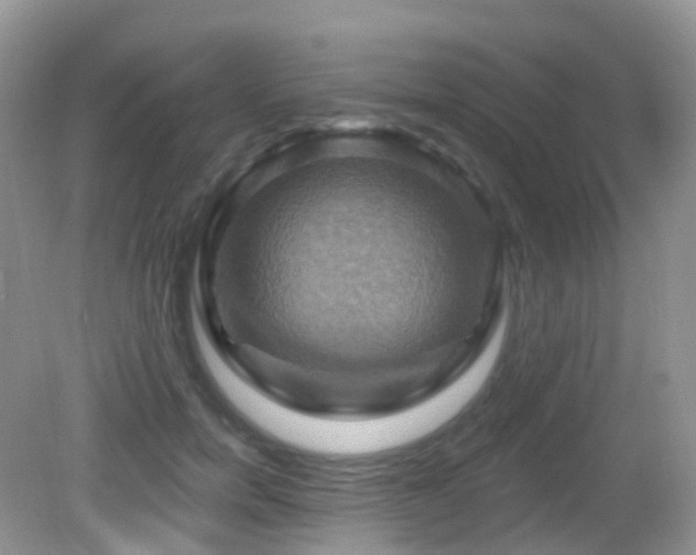 X0000083040750200702021151