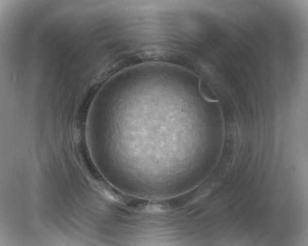 X0000083040751200702021151