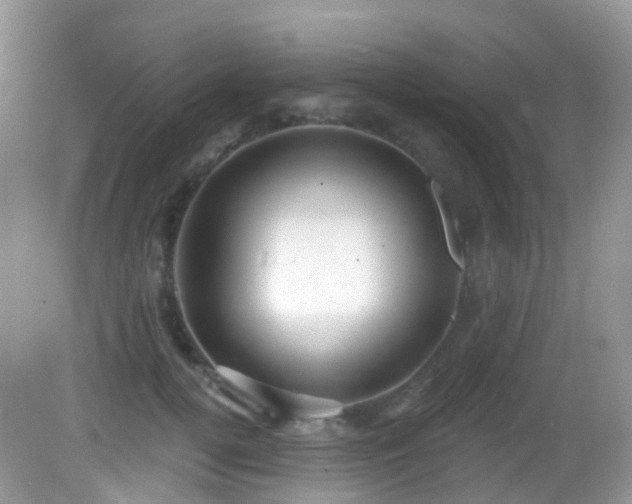 X0000083040752200702021151